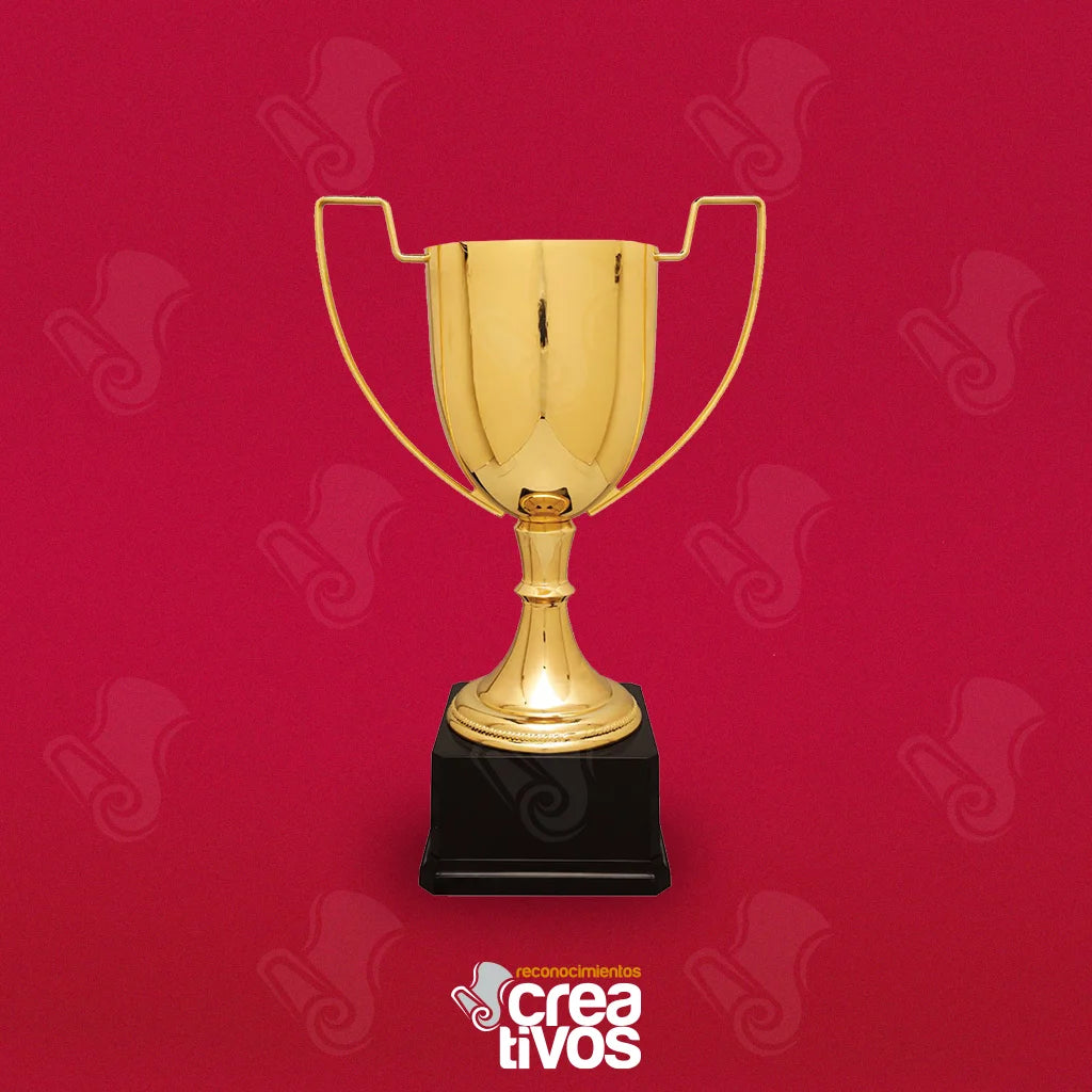 Copa Deportiva Modelo 10