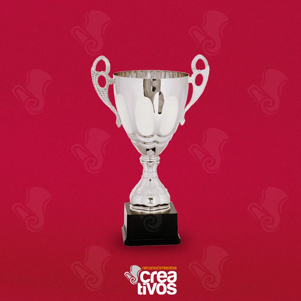 Copa Deportiva Modelo 5