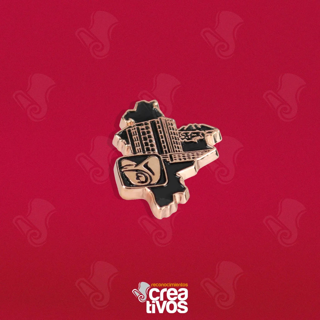 Pin Personalizado de IMSS