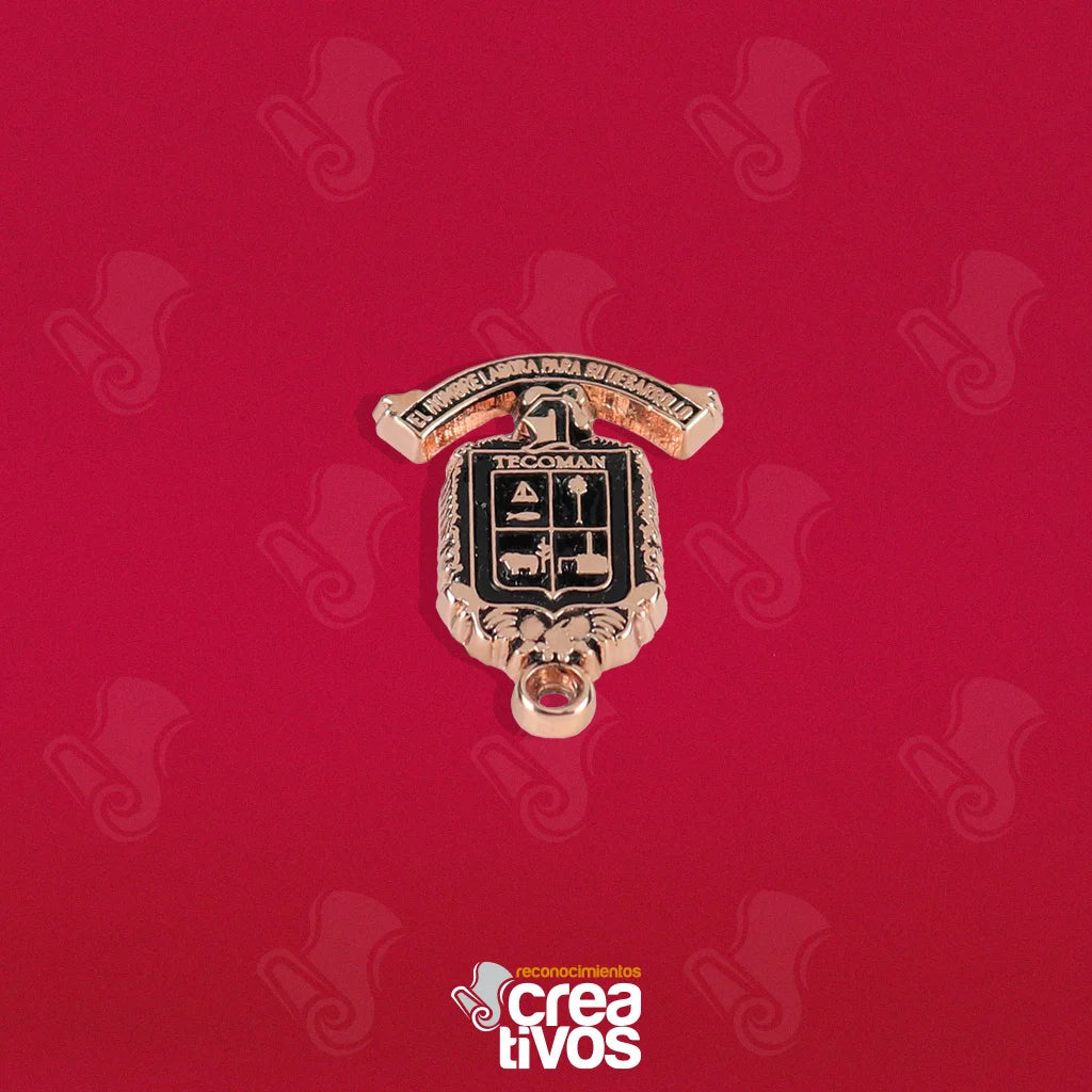 Pin Personalizado de Tecoman