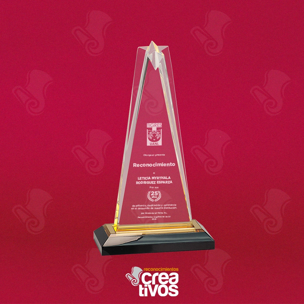 Reconocimiento de Acrílico Grabado Personalizado Estrella Dorada