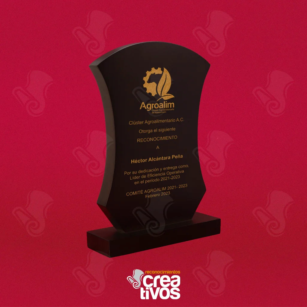 Reconocimiento de Madera Personalizado Escudo Rectangular Acabado Café