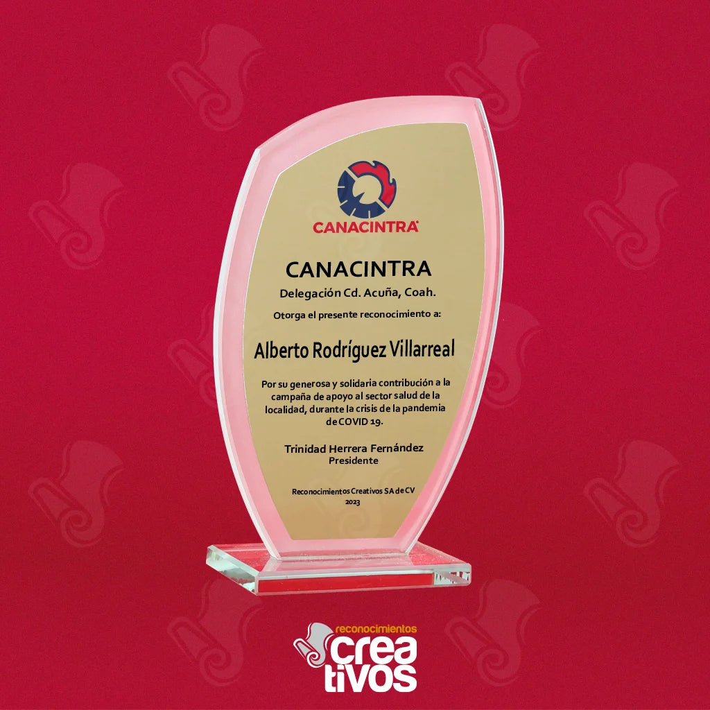 Reconocimiento de Vidrio Impreso Personalizado Aleta