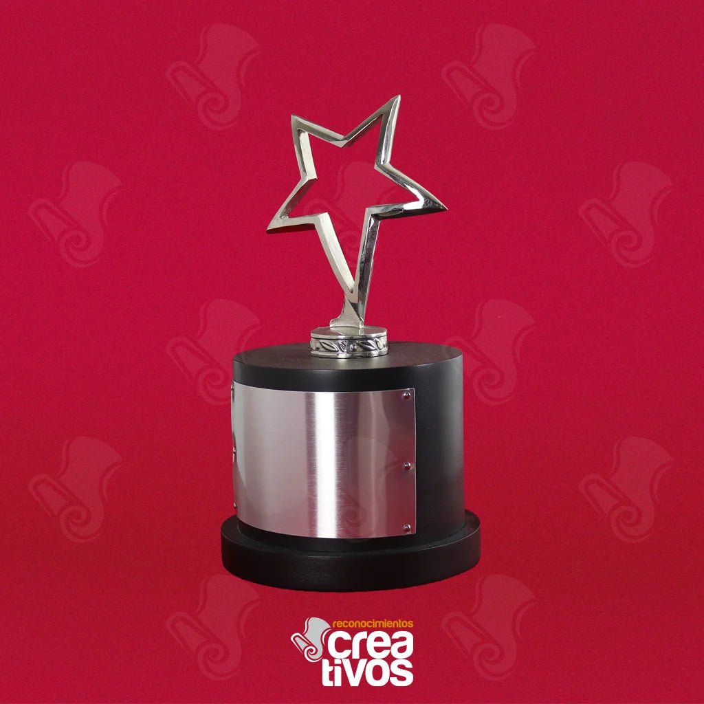 Reconocimiento Metálico Estrella Calada Plateada